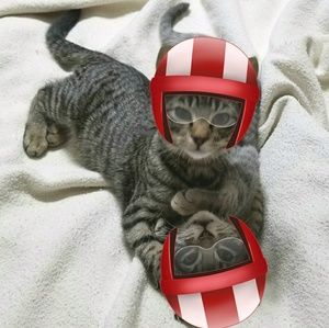 Meet your Posher, Kathy Psencik